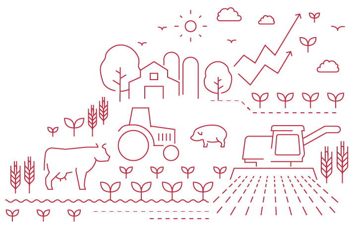 Let's grow Let's grow